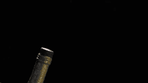 champagne poppin.gif