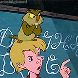 archimedes disapproves.gif