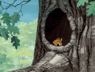 eye spy.gif