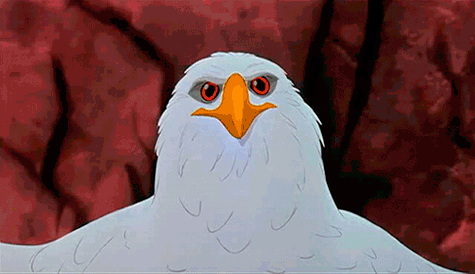 fluffy-bird