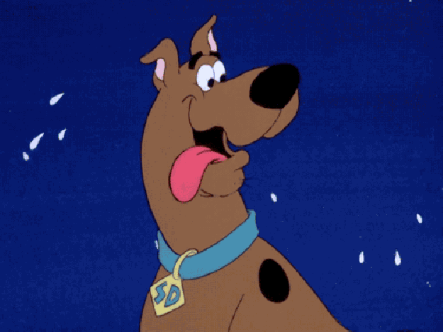 scooby drool.gif