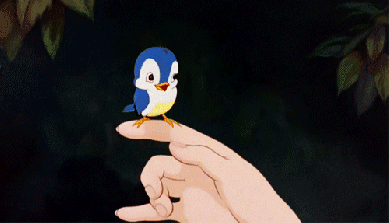 flattered blue bird.gif