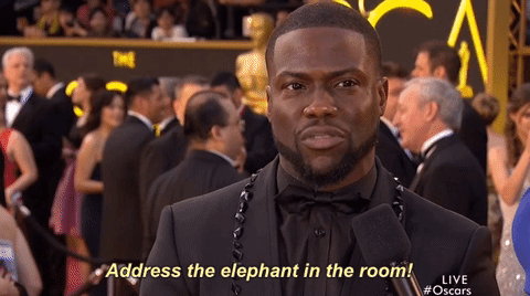 kev-hart-elephant