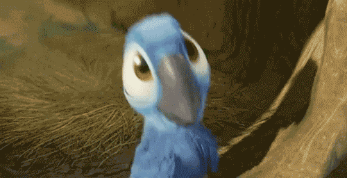 yaya bird.gif