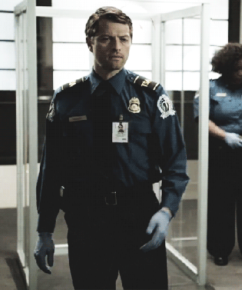 tsa.gif