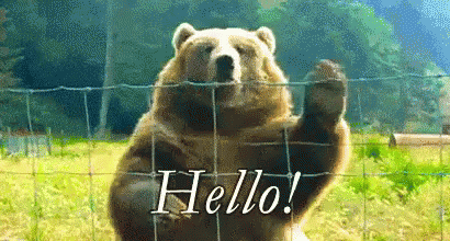 hi.gif